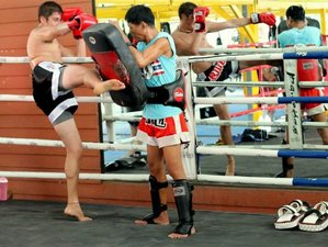 3 Weeks Muay Thai Training with Private Accommodation in Chiang Mai, Thailand