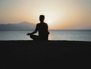 7 Day Self-Compassion Retreat with Dr. Chris Irons in Pattaya, Thailand