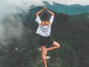 14 Day 200-Hour Yoga Teacher Training in Rishikesh, India