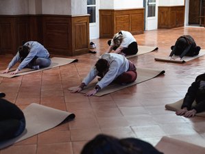3 jours en week-end de yoga et nutrition près de Paris 
