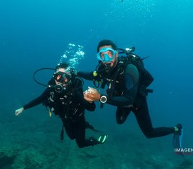 8 Day of Ocean Thrills: Beginner-friendly Dive with PADI Certification and Surf in Tenerife, Spain - Photo 3