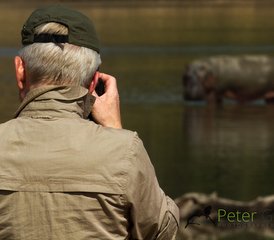 7-Daagse Ontdek Unieke Fotografische Stijlen met de Beste Wildlife Safari in South Luangwa, Zambia - Photo 5