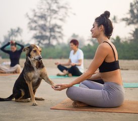 21 Tage 200-Stunden Yin-Yoga-Lehrerausbildung in Goa, Indien - Photo 4