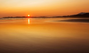 Tofino Retreats & Trips