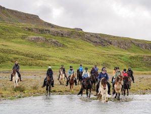 8 Day Wilderness Horse Riding Expedition in the Northern Highlands of Iceland