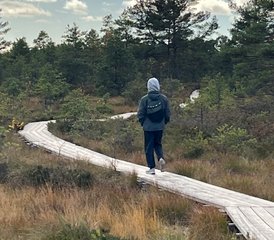 14 jours en retraite bien-être Dharma Harmony dans le comté de Saare, Estonie : calme, nature et créativité - Photo 1