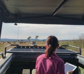 3 jours en stage de safari dans le parc national de Mikumi, Tanzanie - Photo 2