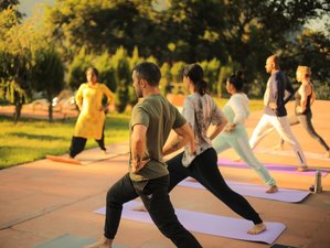 25 Day 200-Hour Holistic Life Changing Yoga Teacher Training in Rishikesh