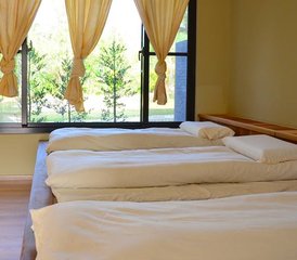 4 Day Wellness Retreat with Yoga, Meditation, Walking, and More in Yujing District, Taiwan - Photo 5