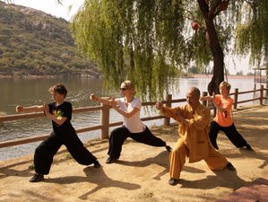 A Short List of Women Who Shaped the Southern Chinese Martial Arts – Kung  Fu Tea