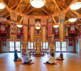 54 días de fin de semana de autocuidado: retiro de yoga por el Día del Trabajo en Cazadero, California, Estados Unidos - Photo 1
