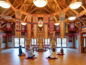 4 Day Weekend of Self-Care: Labor Day Yoga Retreat in Cazadero, California, USA