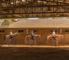 8 Day Equikinetic and Dual Activation Horse Riding Program in Mallorca, Spain - Photo 3