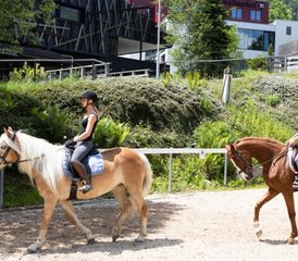 8 Tage Reiturlaub in Brand, Österreich - Photo 5
