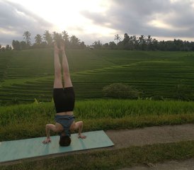 55 días de retiro de cultura, meditación y yoga en Bali, Indonesia - Photo 1