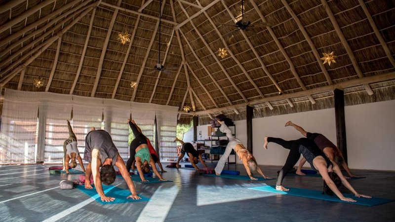 200-Hour Hybrid: Self-Paced Online and 15 Day In-Person Yoga Teacher Training in Sayulita, Mexico