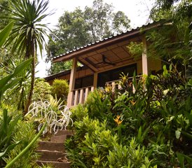 8 Day Yoga and the World of Water Retreat in the Jungle of Paksong, Chumpon, Thailand - Photo 5