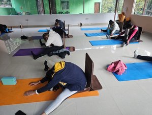 25 Tage 200-Stunden Yogalehrer Ausbildung in Rishikesh, Indien