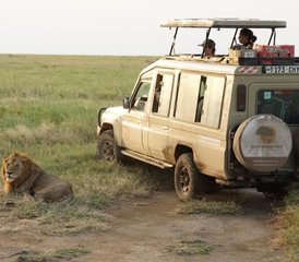 4 Tage Budget Camping Gruppensafari in Tansania - Photo 2