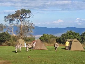 4 Day Best of Tarangire and Ngorongoro Safari in Tanzania