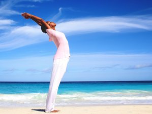 Sivananda Ashram Yoga Retreat Bahamas – Finding Balance, the Space