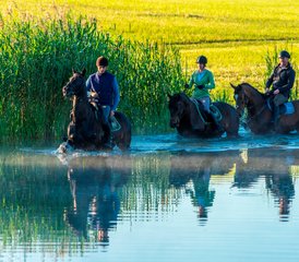 77 Day Awe-Inspiring Horse Riding Holiday in Galiny, Gmina Bartoszyce, Poland - Photo 1