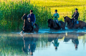 7-Daagse Onvergetelijke Paardrijvakantie in Galiny, Gmina Bartoszyce, Polen