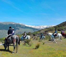 7-Daagse La Alpujarra Paardrijvakantie in Andalusië, Spanje - Photo 5