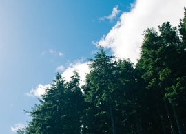 New Ross Retreats & Trips