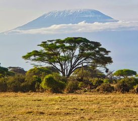7-Daagse Budget Groepssafari naar Maasai Mara, Lake Nakuru, Naivasha en Amboseli in Kenia - Photo 4