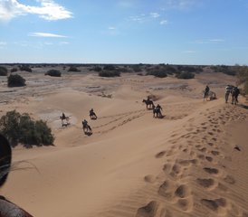 6 jours de randonnée équestre dans le désert au Maroc - Photo 5