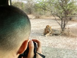 3 Day Tanzania Private Budget Safari in Nyerere NP with Boat Safari and Walking Safari with Bushman