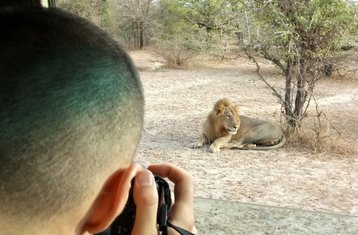 3-Daagse Privé Budgetvriendelijk Safari in Nyerere NP met Boot- en Wandelsafari, Tanzania
