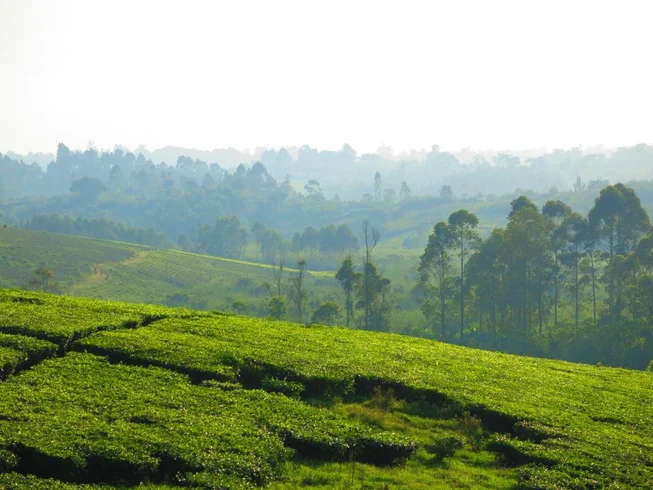 9 Day Highlights of Rwanda Guided Motorcycle Tour: Great Lakes, Mountains and Friendly People photo 8