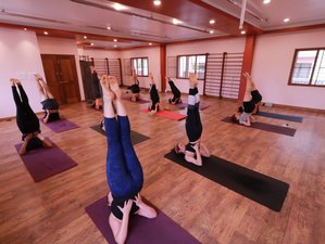 27 Tage 200-Stunden Ashtanga Vinyasa Yogalehrer Ausbildung in Mysore