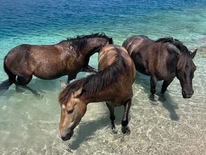7 Day Serenity on The Island of Brač, Croatia