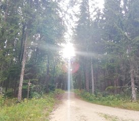 4 Tage „Metta – Liebende Güte“ Stille-Retreat mit Heike in Tuttlingen, Deutschland - Photo 5