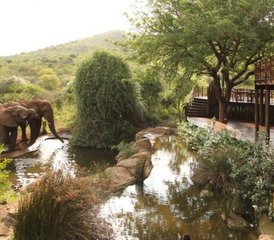6 días de safari de camping por lo mejor de Etosha, Swakopmund y Sossusvlei en Namibia - Photo 2