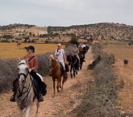 4 jours en stage d'équitation sur l'Atlantique : expériences au lever et au coucher du soleil à Essaouira, Maroc - Photo 2