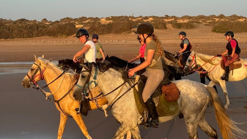 Halve Dag Niet-Residentiële Paardrijervaring in Sidi Kaouki Marokko