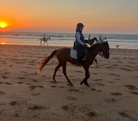 2 Day Into the Wild Horse Riding Holiday: Trail along the Atlantic Coast of Sidi Kaouki, Morocco - Photo 4