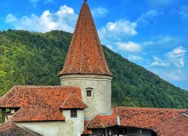 Bran Castle Retreats & Trips
