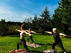 7-Daagse Down to Earth: Magie van de Finse Eilanden Retreat in Turku Archipelago