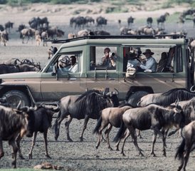 7 jours en safari privé impressionnant en Tanzanie - Photo 3