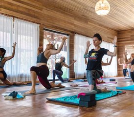 20-Uur Online Vinyasa Sequencing Yoga Docentenopleiding met 1 Privésessie met Hoofdleraar - Photo 2