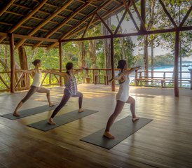 37 Day Disconnect to Reset Yoga, Surf and Fitness Retreat in the Costa Rican Jungle - Photo 1