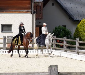 5 Tage Aktiv-Reiturlaub für alle Niveaus und Premium-Landaufenthalt in Dolenjska, Slowenien - Photo 3