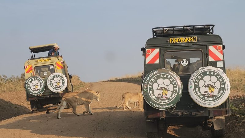 3 Day Budget-Friendly Kenya Safari: Join a Small Group to Maasai Mara