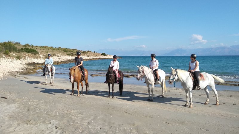 5 Day Swimming with Horses, Natural Horsemanship, and Horse Trekking Holiday in Corfu, Ionian Island