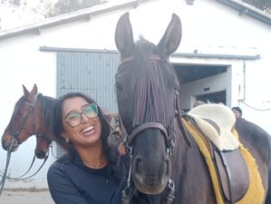 8 Day Private, Restore and Relax, Sound Coaching, Horses, and Yoga in Grazalema Nature Park, Spain